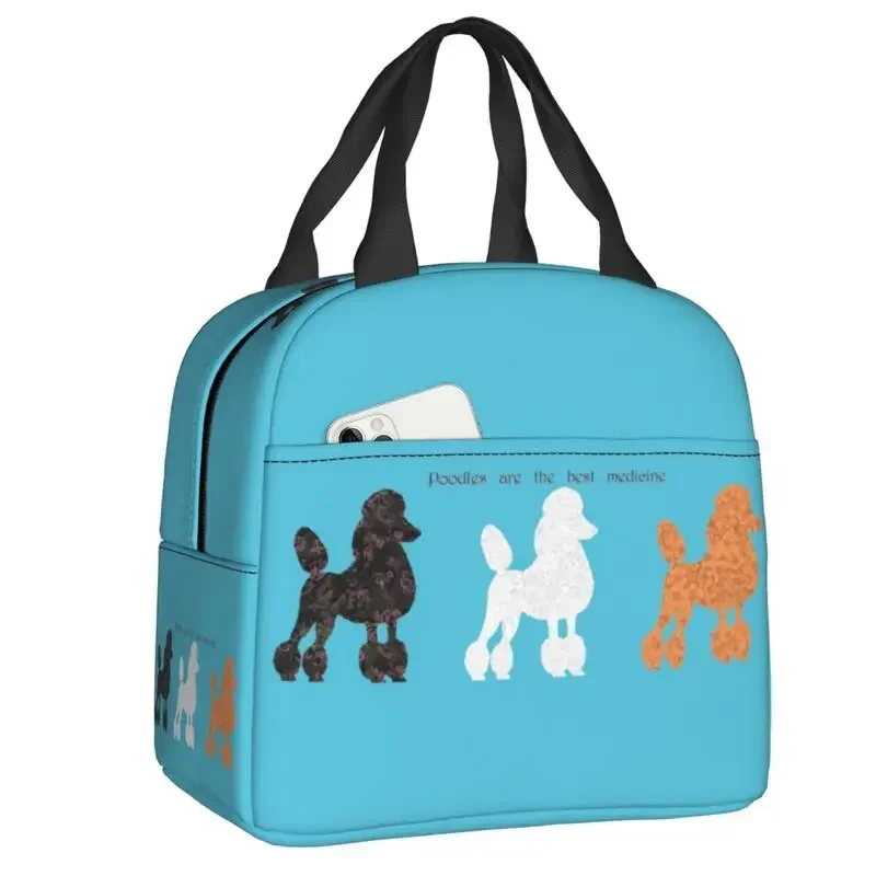 Fransa Standart Kaniş Yalıtıml - Women'S Best Bags For Work incelemesi ve fiyatı